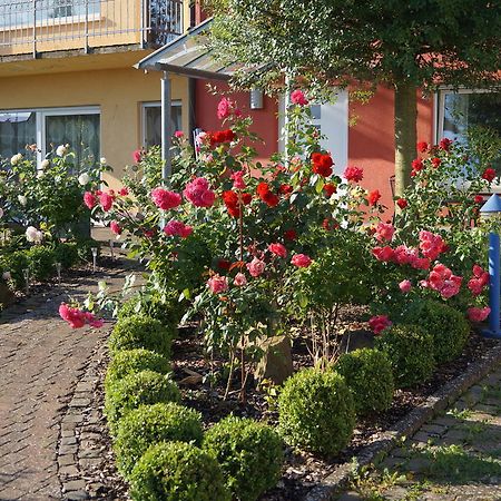 Ferienhaus Schloss-Garten Kapellen-Drusweiler Extérieur photo