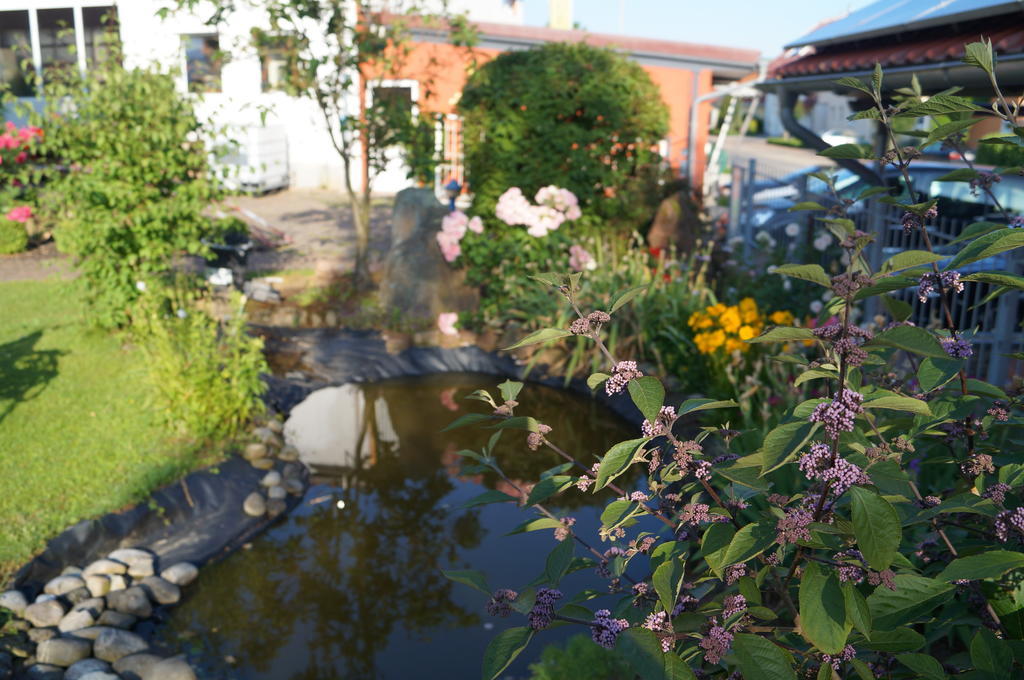 Ferienhaus Schloss-Garten Kapellen-Drusweiler Extérieur photo